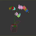 Lovely Purple Orchid Plant With Lush Green Leaves And Purple Flowers In Gray Pot