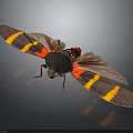Vibrant Striped Cicada With Red Body Black Head And Yellow Striped Wings