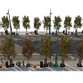 Neatly Arranged Road Facilities With Street Lamps Trees And Trash Bins Along Brick Pavement