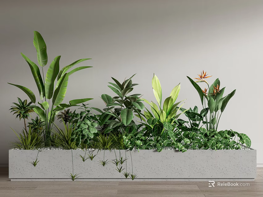 Indoor Potted Green Plants In Gray Rectangular Planter With Various Leaves Shapes And Orange Flowers 3d model 