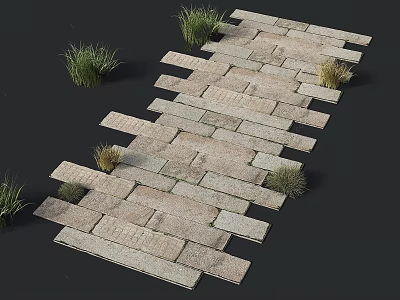 Natural Stone Pathway With Irregular Slab Design And Green Grass Plants 3d model
