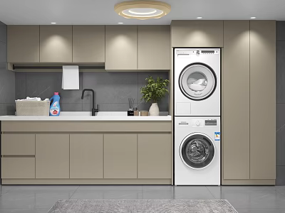 Modern Bathroom Cabinetry with Countertop Sink Stacked Washer Dryer and Potted Plant 3d model