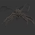 Mechanical Metallic Insect Featuring Transparent Wings Long Slender Legs And Reflection In Dark Background