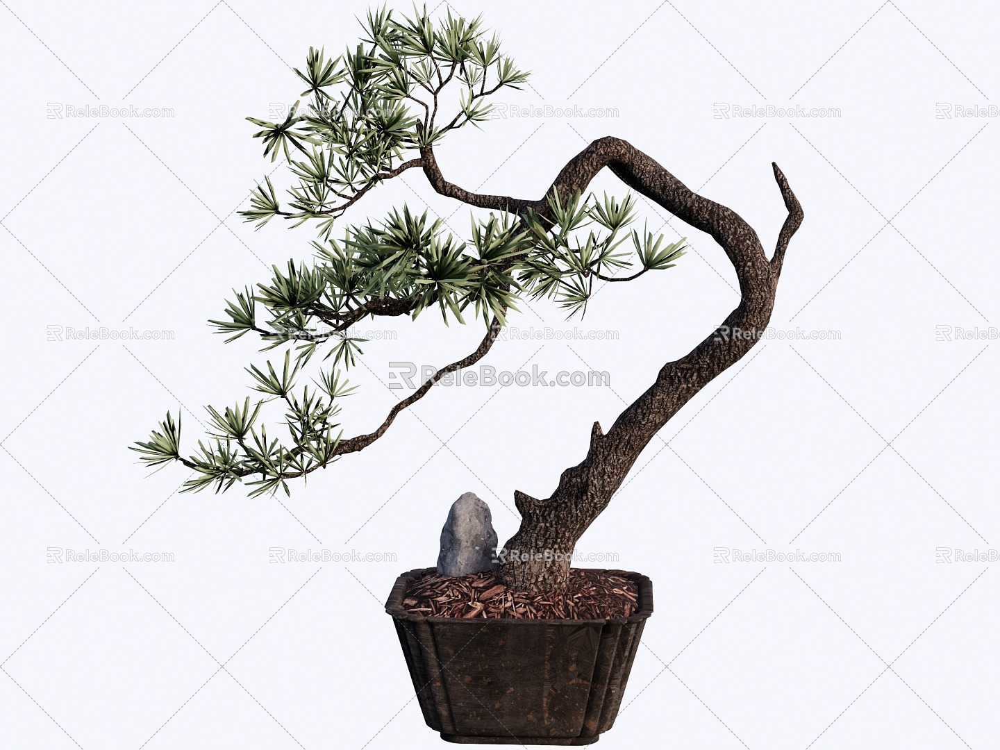 Bonsai 3d model