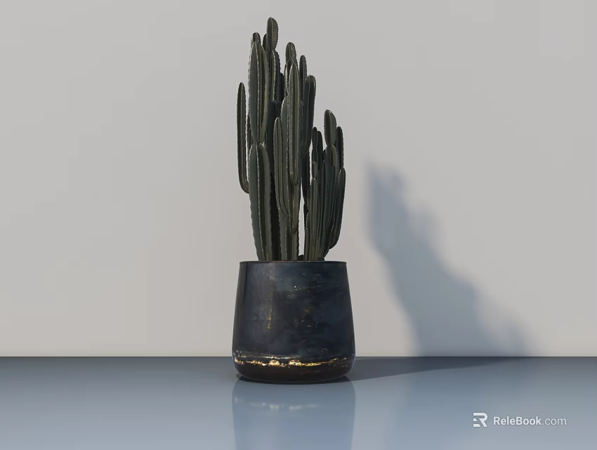 Cactus Bonsai Plant In Dark Ceramic Pot On Smooth Table With Minimalist White Background 3d model 