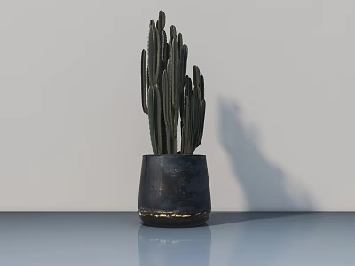 Cactus Bonsai Plant In Dark Ceramic Pot On Smooth Table With Minimalist White Background 3d model