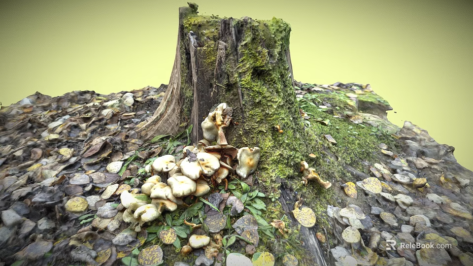 Lush Green Moss Covered Tree Stump With Fresh Mushrooms And Fallen Leaves 3d model 