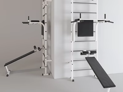Multifunctional Sports Equipment With Training Rack And Adjustable Bench For Home Fitness 3d model