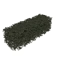 Lush Green Well Trimmed Hedge With Dense Foliage For Garden Landscaping