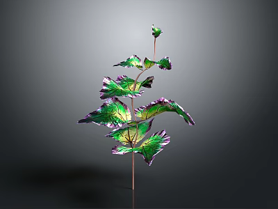 Vibrant Decorative Plant With Green And Purple Leaves On Thin Stem 3d model