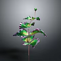 Vibrant Decorative Plant With Green And Purple Leaves On Thin Stem