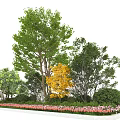 Lush Garden Shrubs With Green And Yellow Trees And Pink Flowers