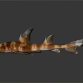 3D Rendered Striped Shark With Spiked Fins As Aquatic Animal Model