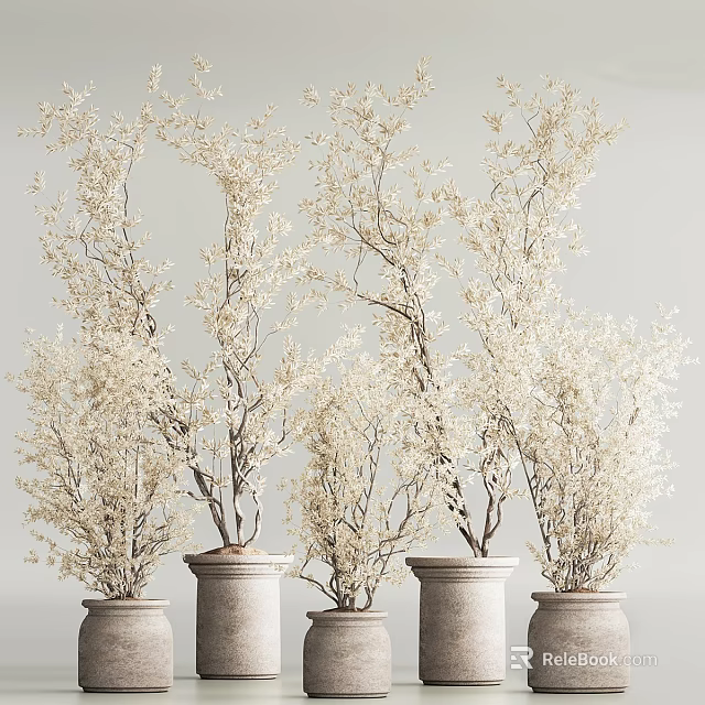 White Flowering Bonsai Plants in Decorative Gray Pots for Indoor 3d model 