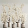 White Flowering Bonsai Plants in Decorative Gray Pots for Indoor