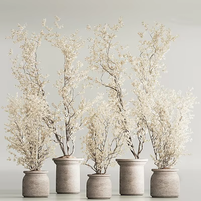 White Flowering Bonsai Plants in Decorative Gray Pots for Indoor 3d model