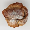 Fluffy Sugar Dusted Bread Loaf on White Background