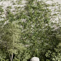 Natural Layered Garden Landscape Design With Vertical Living Wall Bamboo And Stones