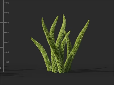 Green Leafy Plant With Slender Textured Leaves In 3D Rendering Against Dark Background 3d model