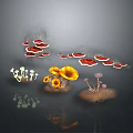 Natural Plant Display With Colorful Mushrooms And Yellow Flowers On Dark Background