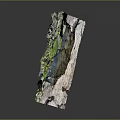 Natural Wooden And Stone Material With Green Textured Surface And Organic Design Elements