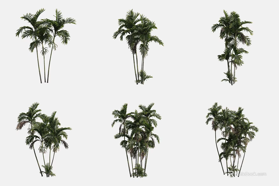 Different Varieties of Arbor Trees with Diverse Foliage and Trunk Structures 3d model 