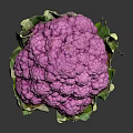 Fresh Vibrant Purple Cauliflower With Green Leaves On Dark Background