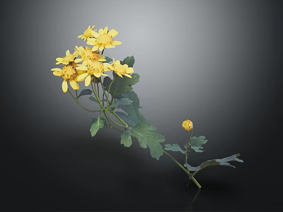 Yellow Flowers With Green Leaves Stems And Small Single Bloom On Dark Background 3d model