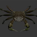 Brown Crab With Long Legs And Large Claws On Transparent Surface With Reflection 3d model