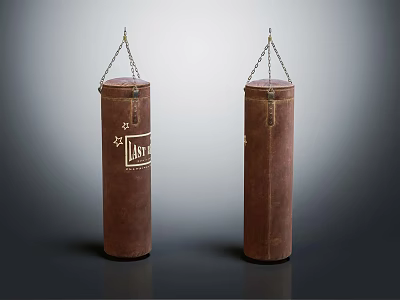 Durable Brown Leather Boxing Bags For Training Hanging With Chains 3d model