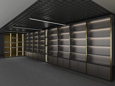 Modern Retail Store Display Shelves With Metal Frames And LED Lighting 3d model