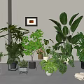 Lush Indoor Hanging Plants With Green Foliage And Modern Home Decor Accents