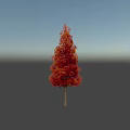 Tall Arbor With Vibrant Red Orange Autumn Foliage And Slender Trunk
