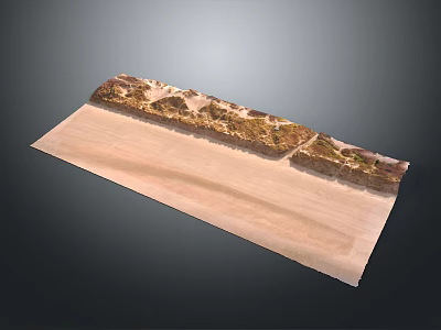 Long Decorative Wooden Board With Natural Landscape Pattern And Textured Surface Design 3d model