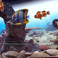 Fish tank 3d model