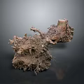Natural Wooden Root With Soil And Raw Organic Texture Structure 3d model