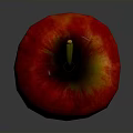 Fresh Red Apple With Shiny Surface And Green Stem On Gray Background