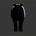Game And Movie Character Tapir With Black And White Body Long Snout Standing Pose