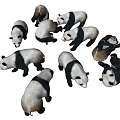 Modern Panda Animals 3d model