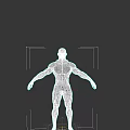 Game And Movie Character With Red Body Detailed Muscular Texture And Humanoid Form