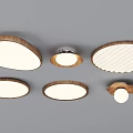 Modern Ceiling Lights with Various Styles Wooden Frames Round and Oval White Lamp Surfaces 3d model