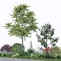Tall Arbor with Lush Green Foliage Purple Shrubs and Flowers in Garden