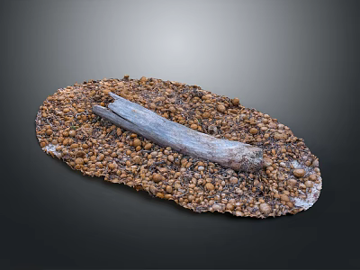 Natural Wooden Log Resting on Pebble Covered Oval Decorative Surface 3d model