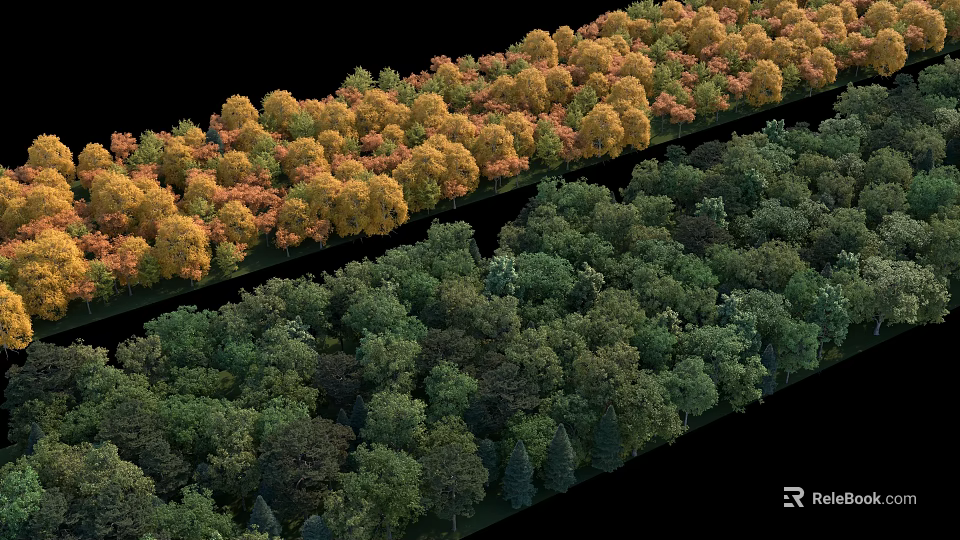 Arbor Trees With Yellow And Green Foliage Arranged In Rows For Landscape Design 3d model 
