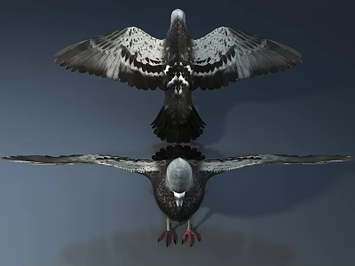 eagle bird 3d model