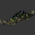 Rocky Terrain With Colorful Green Yellow Red Moss And Mineral Surface Textures