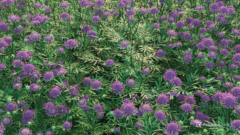 Vibrant Purple Flowers And Lush Green Ferns In Outdoor Garden Scene 3d model 