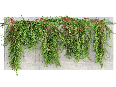 Lush Green Hanging Vines Decorative Plant Display on Gray Wall Surface 3d model
