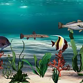 Various Species of Aquatic Animals Swimming Near Coral Reef And Seaweed In Ocean