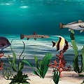 Submarine Series Deep Sea Fish Submarine Fish Fish Tropical Fish 3d model